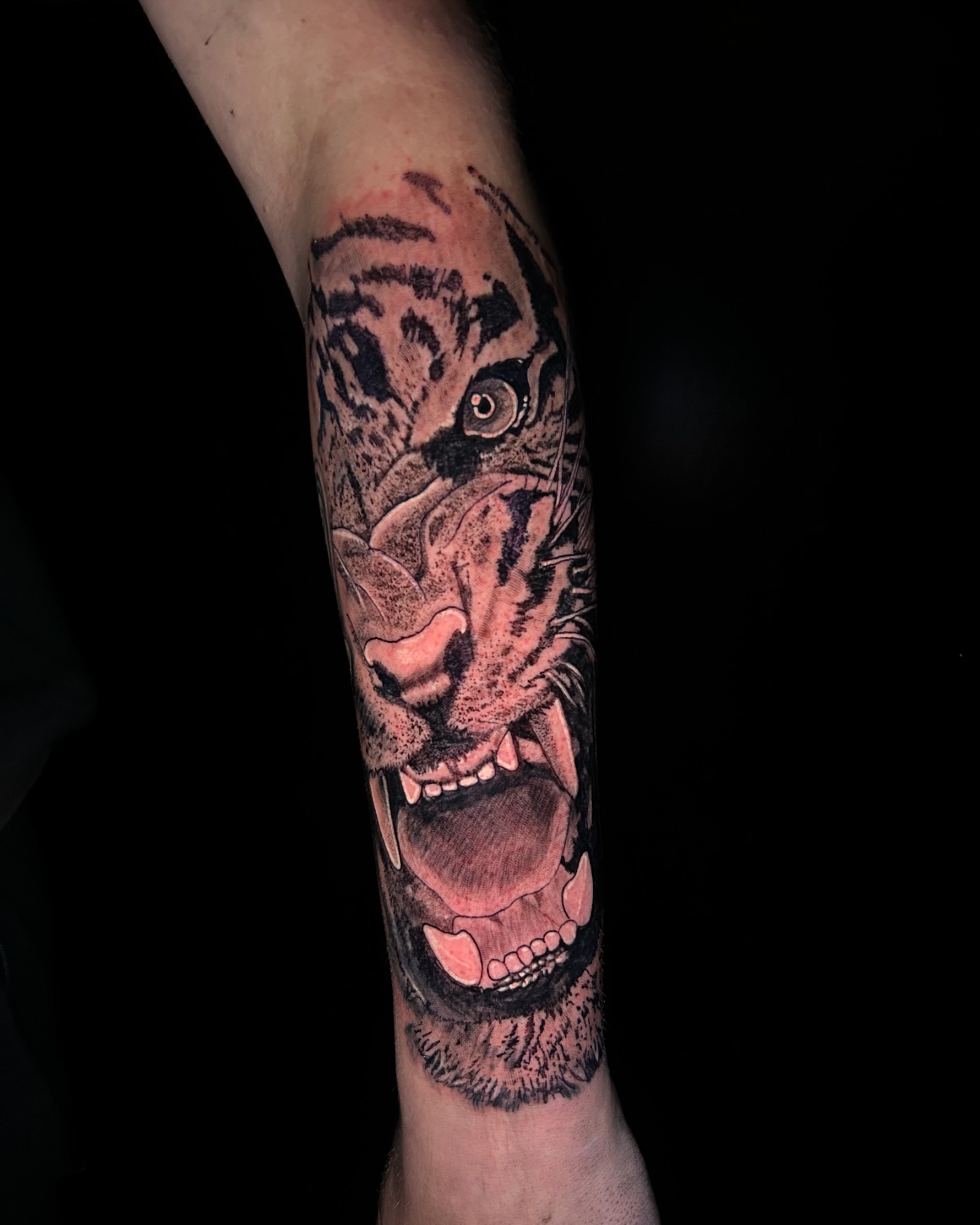 Realistische tijgerkop op een onderarm, gezet bij Pikey Ink